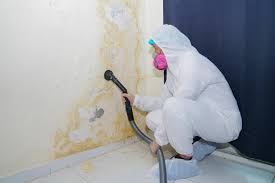 Best Mold Remediation for Healthcare Facilities  in Charlotte, NC